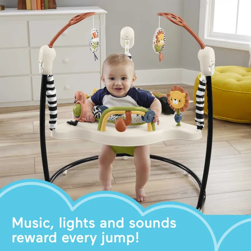 Fisher-Price Palm Paradise Jumperoo shown in the manufacturer’s photograph